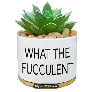 Ceramic Succulent Mini Pot What the Fucculent with Drainage